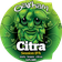 Citra logo